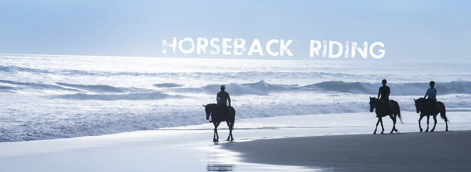 horseback riding santa barbara